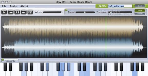 Slow MP3 screenshot
