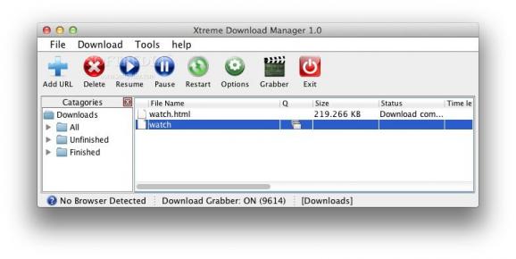 Xtreme Download Manager screenshot