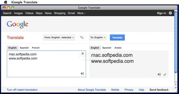 iGoogle Translate screenshot