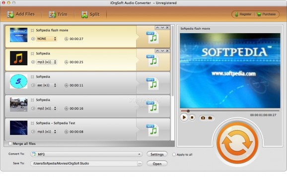 iOrgSoft Audio Converter screenshot