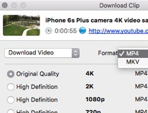 4k video downloader mac review