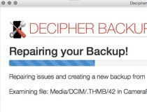 decipher backup repair code