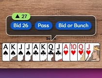 pinochle card game download